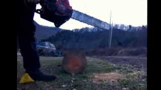 Homelite super EZ vs Stihl MS 310 [upl. by Whitney330]