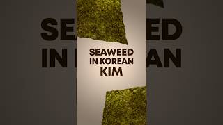 Seaweed Taste of Korea  OO in Korean EP04 [upl. by Elleret]