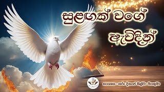 Sulangak Wage Awidin  Sinhala Hymn for Holy Spirit  Rev Fr Dinanja Silva  The Catholic View [upl. by Hen210]