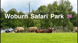 Woburn Safari Park  Drive Through Vlog  Wild Drive  London England 🏴󠁧󠁢󠁥󠁮󠁧󠁿  4K [upl. by Amandy]