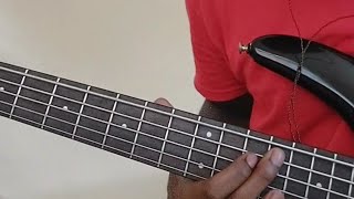 Farmer Nappy  How Ah Living Bass Cover [upl. by Consalve]