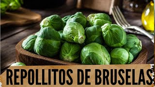 Repollitos de Bruselas beneficios y cómo usarlos en la cocina [upl. by Ettenahs]