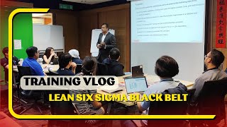 Lean Partner  Training Clips  Lean Six Sigma Black Belt [upl. by Joellen]