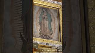 84 Sábado 19 de octubre de 2024 Tonāntsin Kwatlaxope Gōadalōpe Guadalupe [upl. by Gniliem102]