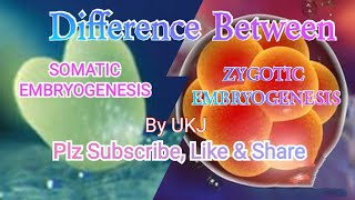 Difference Between Somatic amp Zygotic Embryogenesis [upl. by Landa]