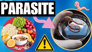 ALWAYS TIRED TOP 5 AntiParasite Foods Facts Revealed 2023 [upl. by Collier]