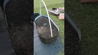 Sowing seeds growingincontainers garden gardening greenhouses [upl. by Letney]