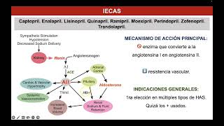 Antihipertensivos II IECAS y ARAII [upl. by Yerdua756]