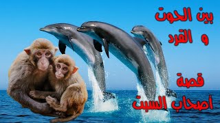 بين الحوت و القرد قصة أصحاب السبت [upl. by Cnahc]