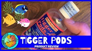 Reef Nutrition  TIgger Pods Product Review [upl. by Mitzl]