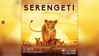 SERENGETI 2020 SOUNDTRACK  Lost Zebra Song [upl. by Yesmar766]