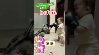 Laban lang lil baby part 2 😃😃😃😍 tryonttolaugh funnyvideos funny animals funnymoment [upl. by Nedle]