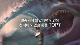 멸종되지 않았다면 인간의 천적이 되었을 동물 TOP 7 [upl. by Imuya]