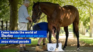 Darley 2021 Virtual Stallion Parade  Come inside the world of Darley and see what we see [upl. by Pollitt]