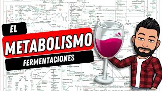 METABOLISMO FERMENTACIONES [upl. by Warring]