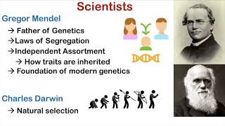 Evolution Part 1 History of Evolution  Scientists of Evolution [upl. by Alanna]