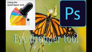 How to Use the Eyedropper and Color Sampler Tools in Photoshop CC Full Bangla Tutorial 2018 [upl. by Nylia526]