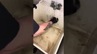 Laundry Room Sink Deep Clean [upl. by Goodman]