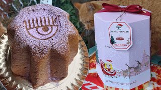 Prezzo spacchettamento recensione del pandoro Chiara Ferragni Balocco [upl. by Eeleak51]