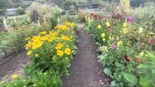 Esalen Institute by Bigsur It is a sanctuary for reconnecting with your dreams and your desires [upl. by Faustena83]