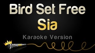 Sia  Bird Set Free Karaoke Version [upl. by Ellegna590]