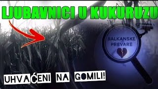 LJUBAVNICI U KUKURUZU UHVAĆENI NA GOMILI  Balkanske prevare [upl. by Drannek]