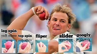 Shane Warne Bowling Tipsall variation leg spintop spingooglyflippersliderhow to do it easy [upl. by Delija199]