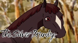 The Silver Brumby  Racing against the Wind and The Sight of Golden  FULL EPISODES [upl. by Gaile]