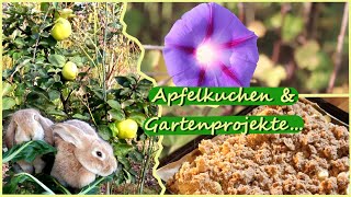 Selbstversorgergarten Oktober Apfelkuchen Kürbissuppe und Gartenprojekte [upl. by Ob]