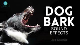 Dog Barking Sound Effect  Free Download [upl. by Karry358]