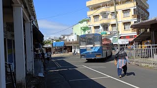 Riviere des Anguilles Village  Mauritius 🇲🇺  with English subtitles [upl. by Adnamor669]