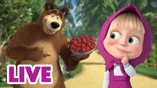 🔴 LIVE Maşa İle Koca Ayı 🤔 Nasıl Maşa Gibi Olunur 👧🤪 Masha and the Bear [upl. by Far]