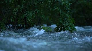 Flowing Water Free Stock Video  Hd River Water Stock Footage  mkbackgrounds [upl. by Gruber326]