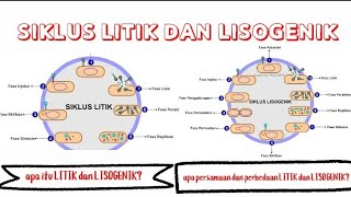 SIKLUS LITIK DAN LISOGENIK PADA VIRUS [upl. by Htaeh]