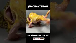 Ignorant Frog  The Wide Mouth Contest animals frog shorts [upl. by Edan]