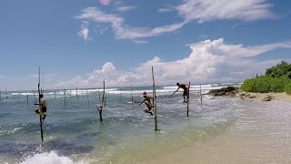 Stilt fishermen Koggala Sri Lanka [upl. by Idorb694]