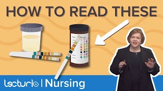 Urine Dipstick Color Codes Explained – MedSurg Nursing  Lecturio Nursing [upl. by Alvy]