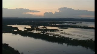 Great Spirit Bluff Falcon Cam  Michelle amp Newman Eagles amp Beautiful Panning Of Mississippi 61417 [upl. by Derfliw]