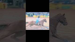 Barrel Racing  shorts cowboy horse barrelhorse barrelracing barrelracer fypviral fyp nfr [upl. by Nuhsar]