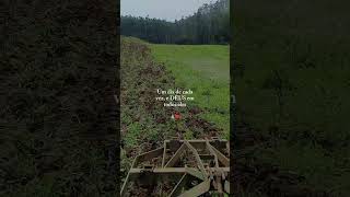 Deus em todos rancheirodosul agropecuaria agromoveomundo pecuaria vidacomdeus crecendo viral [upl. by Colvin]