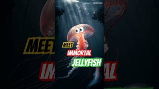 The Immortal Jellyfish Natures Ultimate Life Hack [upl. by Ettena]