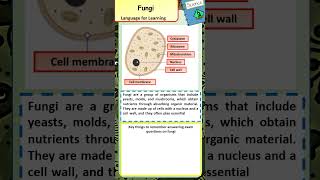 Learn Key Words For GCSE Biology What are Fungi [upl. by Kal]