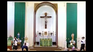 Sept 29 2024  Sunday Mass Homily [upl. by Haela425]