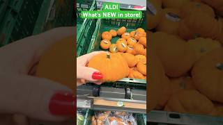 What’s new in ALDI [upl. by Kiki817]