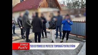 7500 DE PERMISE DE PROTECȚIE TEMPORARĂ PENTRU STRĂINI [upl. by Ailelc]