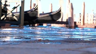 Acqua alta a Venezia 20 centimetri in piazza San Marco [upl. by Akemad976]