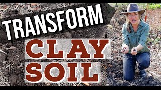 How Do I Improve Heavy Clay Soil in the Garden [upl. by Onabru]