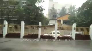 Cyclone Vardah strikes near Chennai [upl. by Hendrik659]