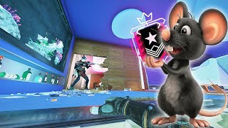 How to Rat Like A CHAMP In Rainbow Six Siege [upl. by Dionysus]