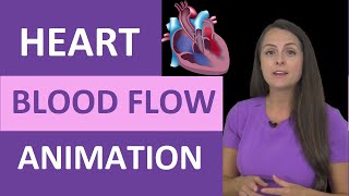 Heart Blood Flow Animation  Heart Anatomy Made Easy for Nursing School [upl. by Letch]